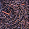 Organic Earl Gray Tea