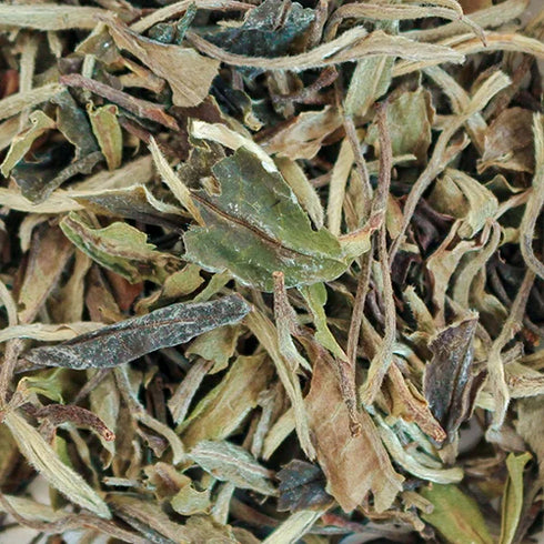 Té China Pai mu tan Top Quality
